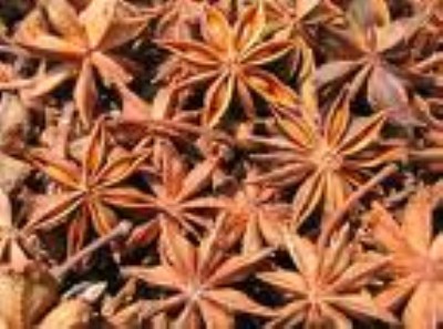 �����Ї��˽����؅^ �V���˽������ ������ �˽ǷN�� ����N