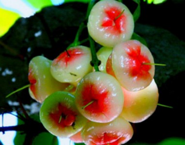 �����Ї�ɏ�F����� ������ɏ�F�� ���~�tɏ�F�� �ڽ���ɏ�F��