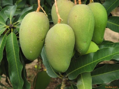 ����â���� �_�râ���� �ʵ۸��� �ך��N�� â���N�� â����