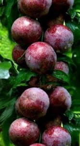 �������A���� ���A��� �ָ��� ɳ���ٽ��� ����� �����