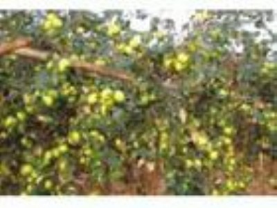 �������� �������� �ۗ����� ؕ���� �ۗ��� �����N �۽z��