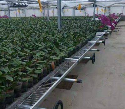 �Ϸ��紲�WĢ���W����W���a�S��