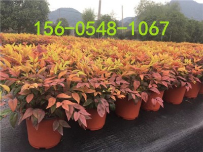 �������u�����������-���l(f��)����������r������X