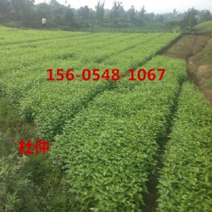 ����3���ֶ��كr��4���֡�5���֡�6���ֶ��٘������