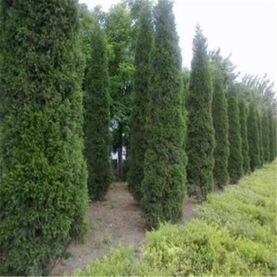 �a��ֱ�N2����~�r��2.5����~��3����~��r