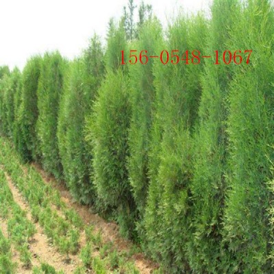 1.2�ׂ�(c��)�؃r(ji��)��-1.5�ׂ�(c��)�؃r(ji��)��-2�ׂ�(c��)�ض����Xһ��