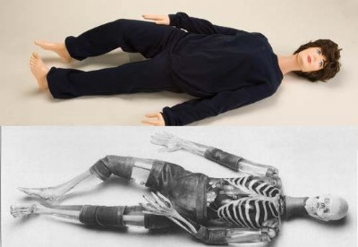 X�侀��������Ӗ(x��n)ģ�w��X�侀�̌W(xu��)ģ�M�ˣ�