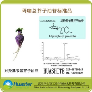 �������������� �˜�Ʒ ���u���S����������