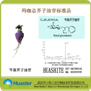 �������������� �˜�Ʒ �S����������