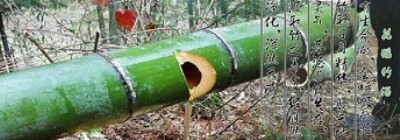 �P�ڻ�����Ͳ�Ƶ�һЩС���R