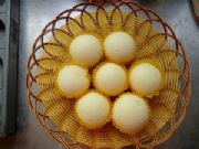 �����⼼�g(sh��)�䷽