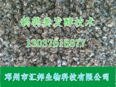 �g���S�l(f��)�̈́� �g���S�ЙC(j��)�ʰl(f��)�;��N