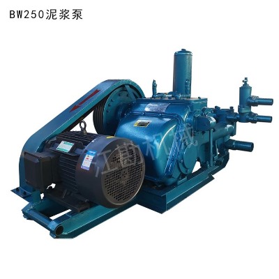 ʯ����bw600/10���{������Ԕ�� ����ע�{�C