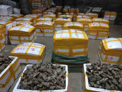 �V����ϖ���l(f��),Ҏ(gu��)��һ��7��(g��)���ң��O��(y��u)�xһ����l(f��)