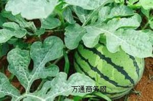 ����ُ�N�H�����ϴ������Ϯa(ch��n)�^(q��)�f�����ϻ���