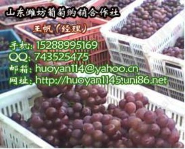 �R�Ծ޷����ѿ���ע���� �ٿ����_ָ��