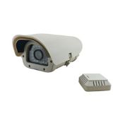 �C���O�ؔz��C