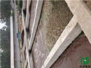 һ�w���Bֳ��ˮ̎���O�����a�S�ҏV�|���h