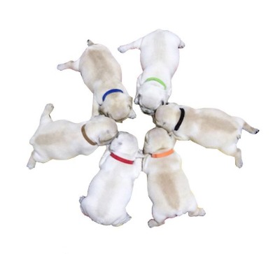 �����Ȧħ�g�N���� ���������R�eȦ