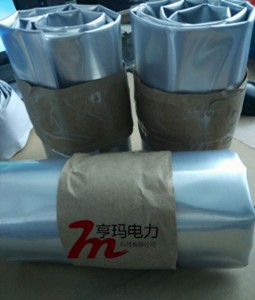 ���������Է�³��ʽ�ܵ��ܷ��idss