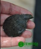 �������B���~�����l�r��