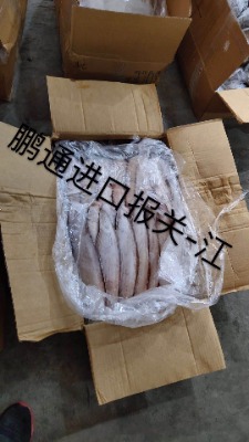 ���ރ����M�ڈ��P���ڴ�����P