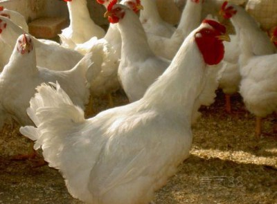 ʹ�����u�߷�������ӄ��߷ʵĺ�̎��ʹ�Ã��r��΢���B��������