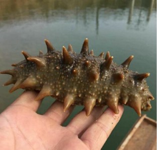 ��(y��u)�r(n��ng)���������L�� ����΢���B(t��i)������ӄ�