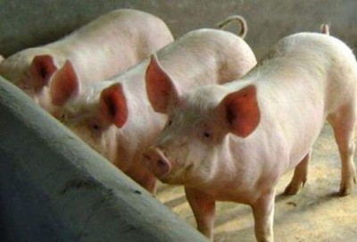 �i���ʵķ����ܺ��� �Ã��r����֪����