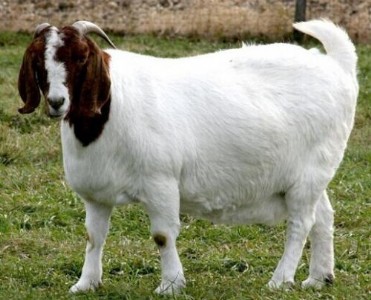 ������ô�����ٶȿ� ΢���B(t��i)�o�����ʃ�(y��u)�r(n��ng)��