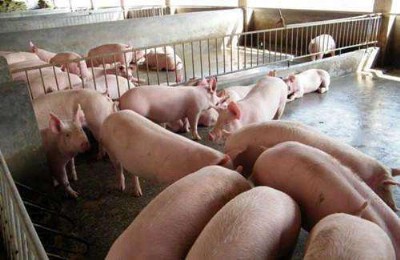 �����i��ʲô�L�Ŀ� ���r��׌�B�i�p��һЩ