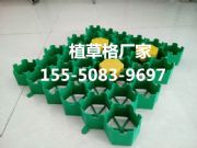 �gӭ���R���Ȫֲ�ݸ�S��