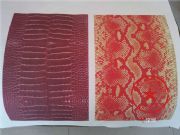 ��Ƥ���y���凊�L�ӹ���Ƥ��ܛ����uv��ӡ����(sh��)�aӡˢ