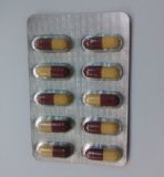 植物復(fù)合酵素骨密度關(guān)節(jié)炎酵素原料貼牌代加工oem