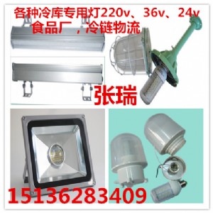 �����������͵͜ط�����