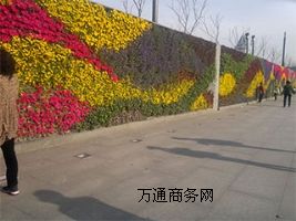 �ƌW(xu��)���w�G����ǰ������������ֱ�G���O(sh��)Ӌ(j��)���G����ʩ��