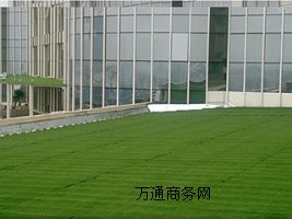 ���籭�����ƺ���\(y��n)��(d��ng)��(ch��ng)�����Ƥʩ��