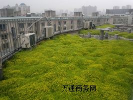 ��픻��@���e����_�G������픾G��