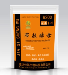 ������ĸ��