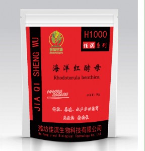 ����t��ĸ��