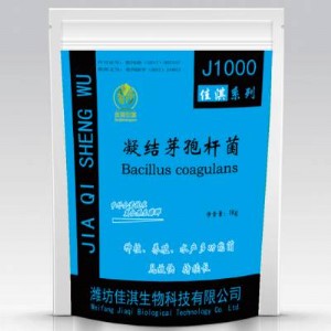 ���Yѿ�ߗU��