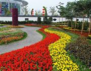 ���I�Ĺ��@�G����˾