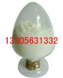 ����(x��) �{�� ����⋒����