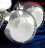 �մ����g��|�մ����g�{�׶������