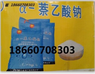 �������c ����ݱ�����c