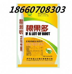 ������������_ʩ�ʸ�����