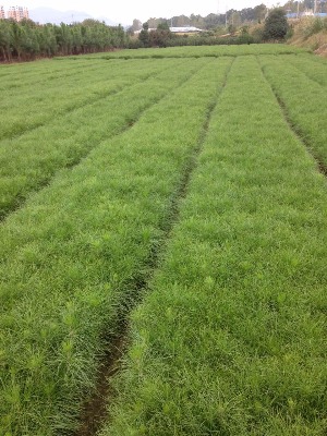 2���֝���ɣ�3���֝���ɣ�4���֝����