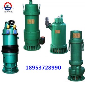 bqs60-50-22/n�๦�ܵV�����۱�