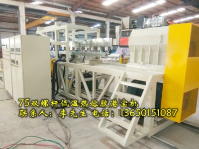 75�p�ݗU�ی�Ƭ�ęC(j��)