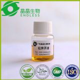 �tˎ���ߴ�����